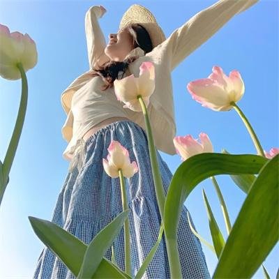 亚历克西纳之谜